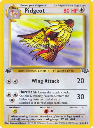 Pidgeot (24) 024/64/64 - Rare - 1st Edition