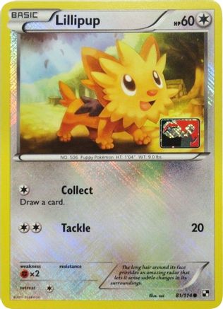 Lillipup 081/114 - Promo - Reverse Holofoil