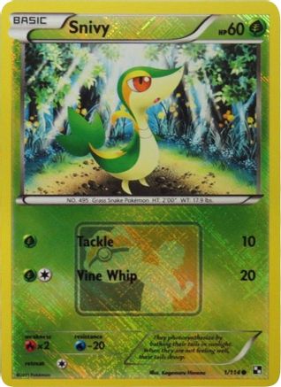 Snivy 001/114 - Promo - Reverse Holofoil