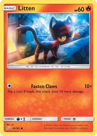 Litten 020/181/181 - Common