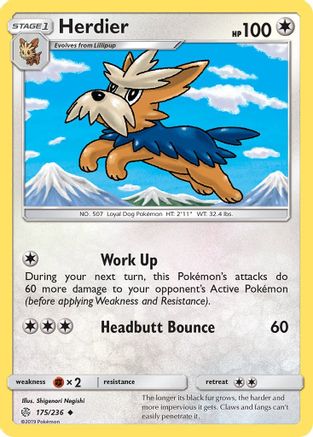 Herdier 175/236 - Uncommon