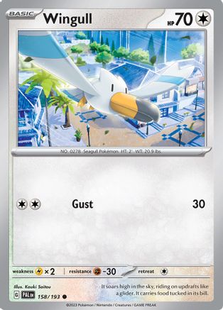 Wingull 158/193 - Common