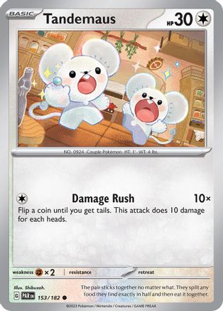 Tandemaus 153/182 - Common