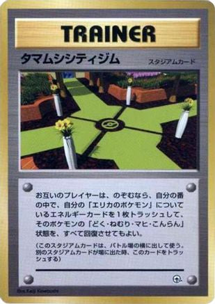 Celadon City Gym - City Gym Decks