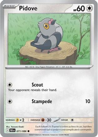 Pidove 071/086 - Common - Reverse Holofoil