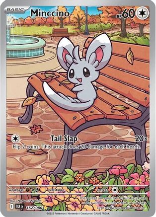 Minccino 152/086 - Illustration Rare - Holofoil