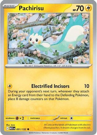 Pachirisu 051 - Common