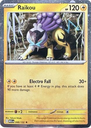 Raikou 048/132 - Promo - Holofoil
