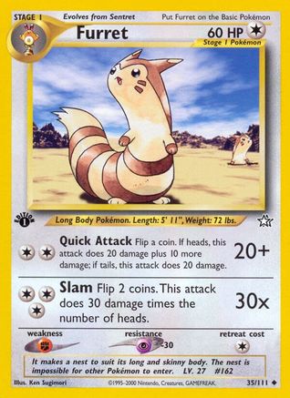 Furret 035/111/111 - Uncommon - 1st Edition