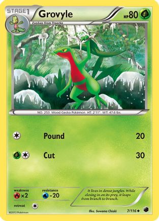 Grovyle 007/116 - Uncommon