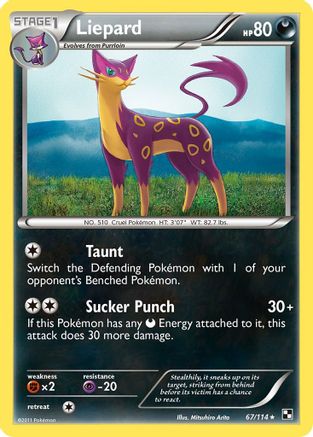 Liepard 067/114 - Rare