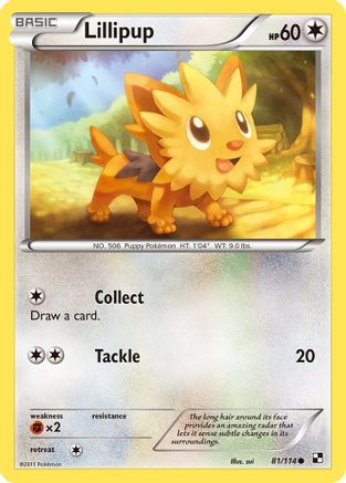 Lillipup (81) 081/114 - Common
