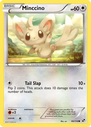 Minccino 088/114/114 - Common