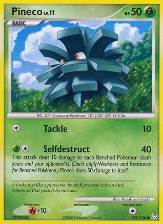 Pineco 113/146 - Common