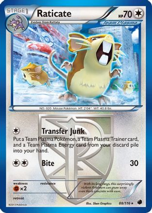 Raticate (Team Plasma) 088/116/116 - Rare