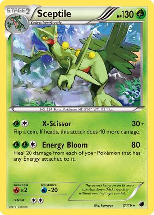 Sceptile 008/116 - Holo Rare - Holofoil