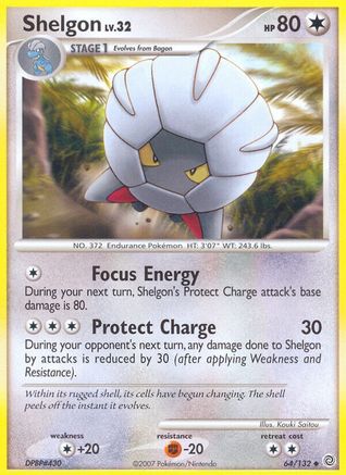 Shelgon 064/132 - Uncommon