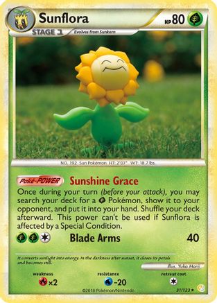 Sunflora 031/123 - Rare