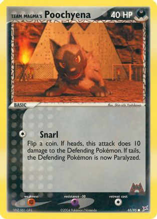 Team Magma's Poochyena 065/95/95 - Common