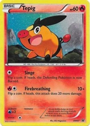 Tepig BW07/101 - Promo - Holofoil