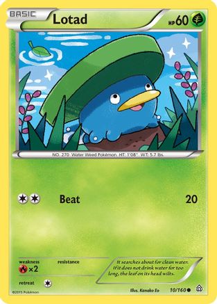 Lotad 010/160/160 - Common