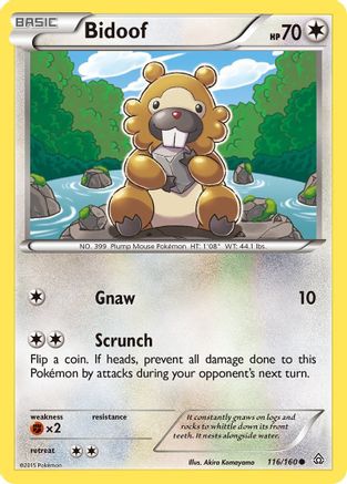 Bidoof 116/160/160 - Common
