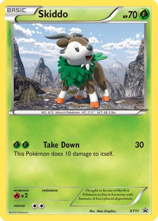 Skiddo XY11/211 - Promo - Holofoil