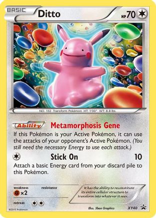 Ditto XY40/211 - Promo - Holofoil