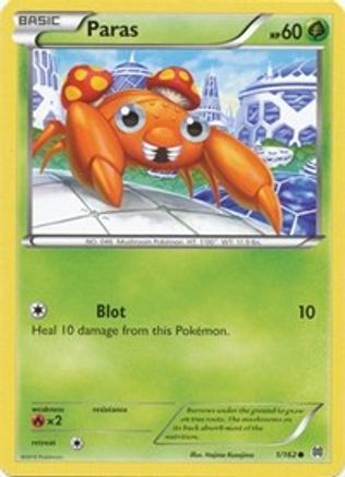 Paras 001/162 - Common