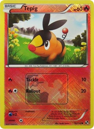 Tepig 015/114 - Promo - Reverse Holofoil