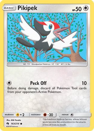 Pikipek (163) 163/214 - Common