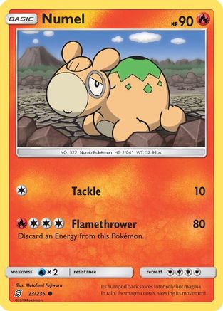 Numel 023/236/236 - Common