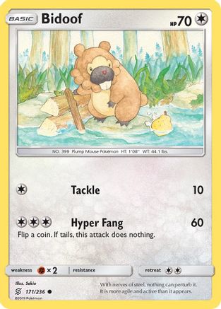 Bidoof 171/236/236 - Common