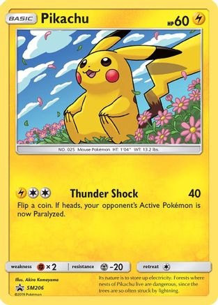 Pikachu SM206/248 - Promo - Holofoil