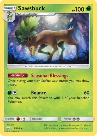 Sawsbuck 016/236/236 - Holo Rare - Holofoil