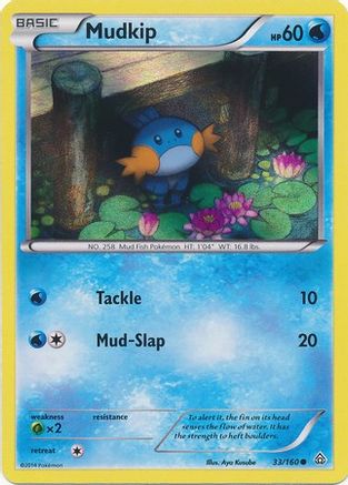 Mudkip 033/160 - Promo - Holofoil