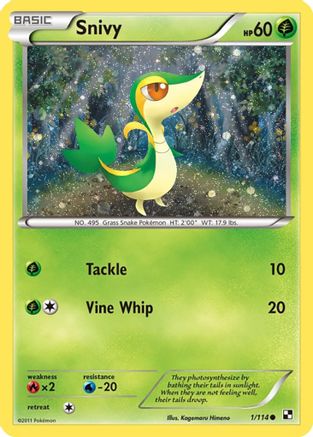 Snivy 001/114 - Promo - Holofoil