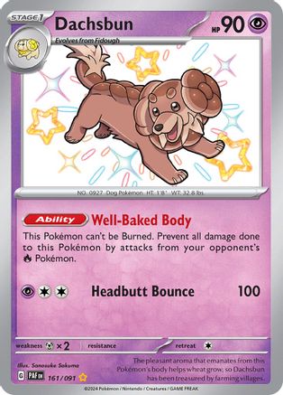 Dachsbun 161/091 - Shiny Rare - Holofoil
