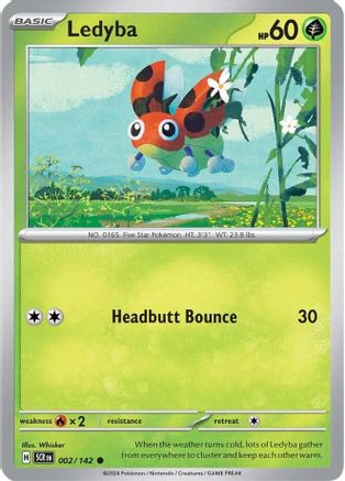 Ledyba 002/142 - Common