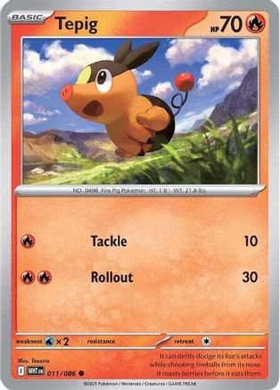 Tepig 011/086 - Common - Holofoil