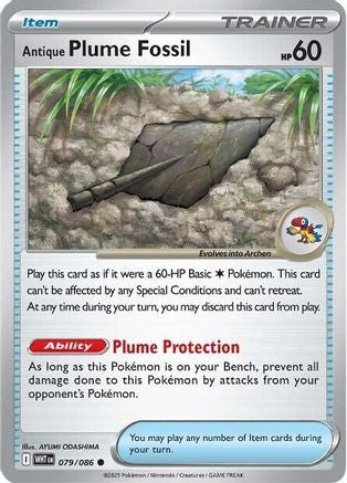 Antique Plume Fossil 079 - Common