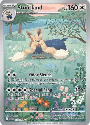 Stoutland 156/086 - Illustration Rare - Holofoil