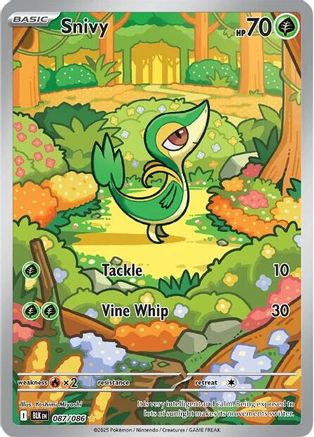 Snivy 087/086 - Illustration Rare - Holofoil