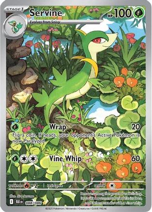 Servine 088/086 - Illustration Rare - Holofoil