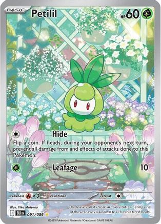 Petilil 091/086 - Illustration Rare - Holofoil