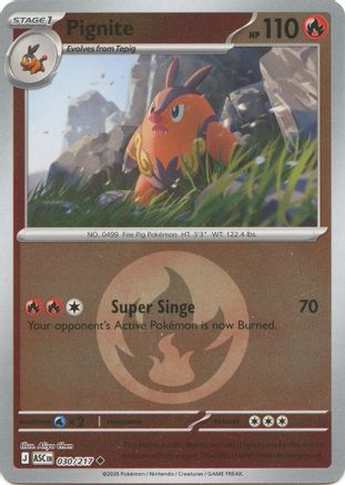 Pignite (Energy Symbol Pattern) (030) - ME Ascended Heroes Reverse Holofoil