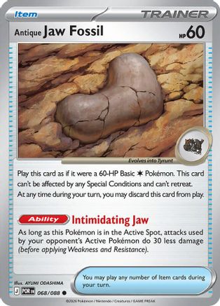 Antique Jaw Fossil (068) - ME03 Perfect Order