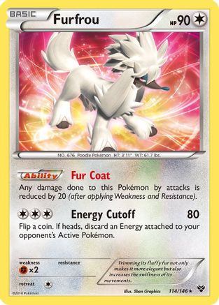 Furfrou 114/146 - Holo Rare - Holofoil