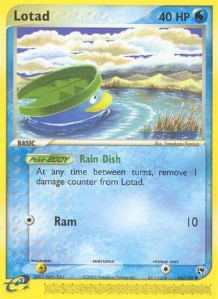 Lotad 066/100/100 - Common