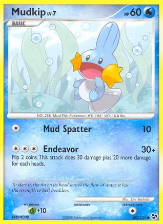 Mudkip 080/106/106 - Common